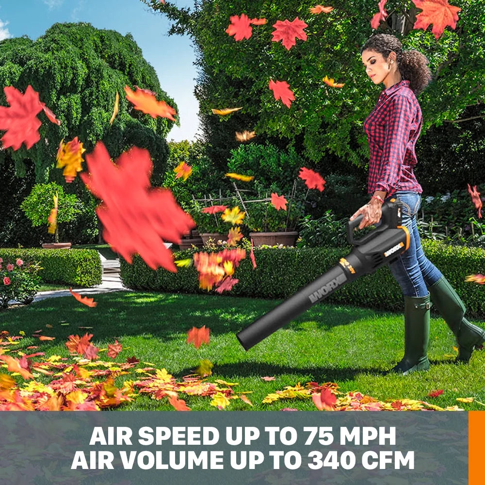 20 Volt Cordless 2 Speed Leaf Blower with 2 Batteries Y889