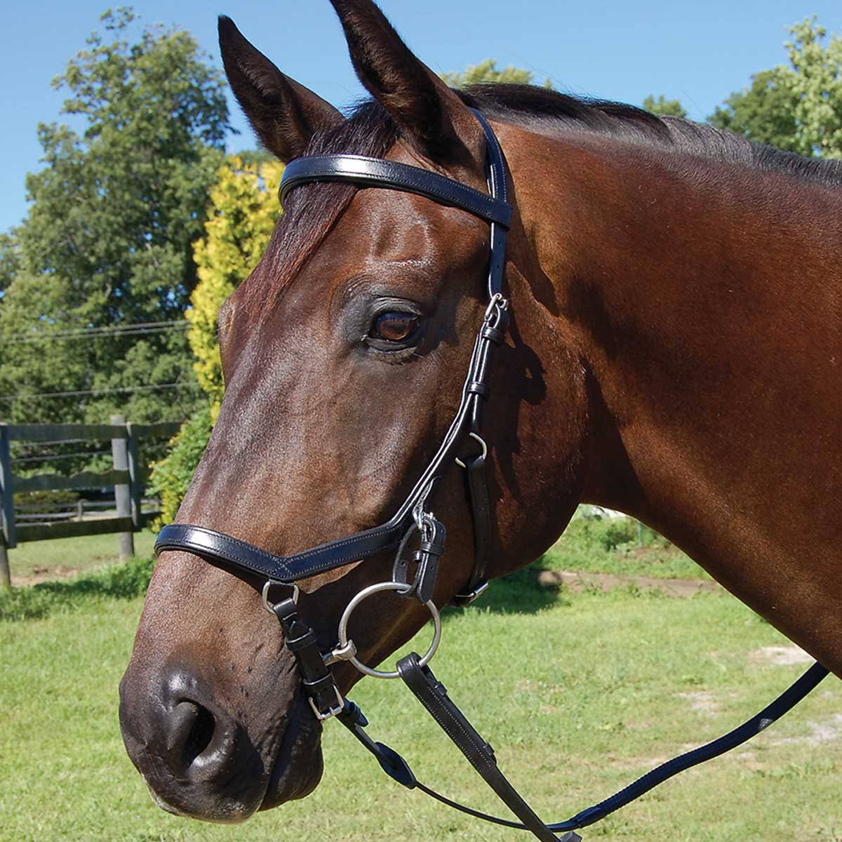 Competition Bridle P993