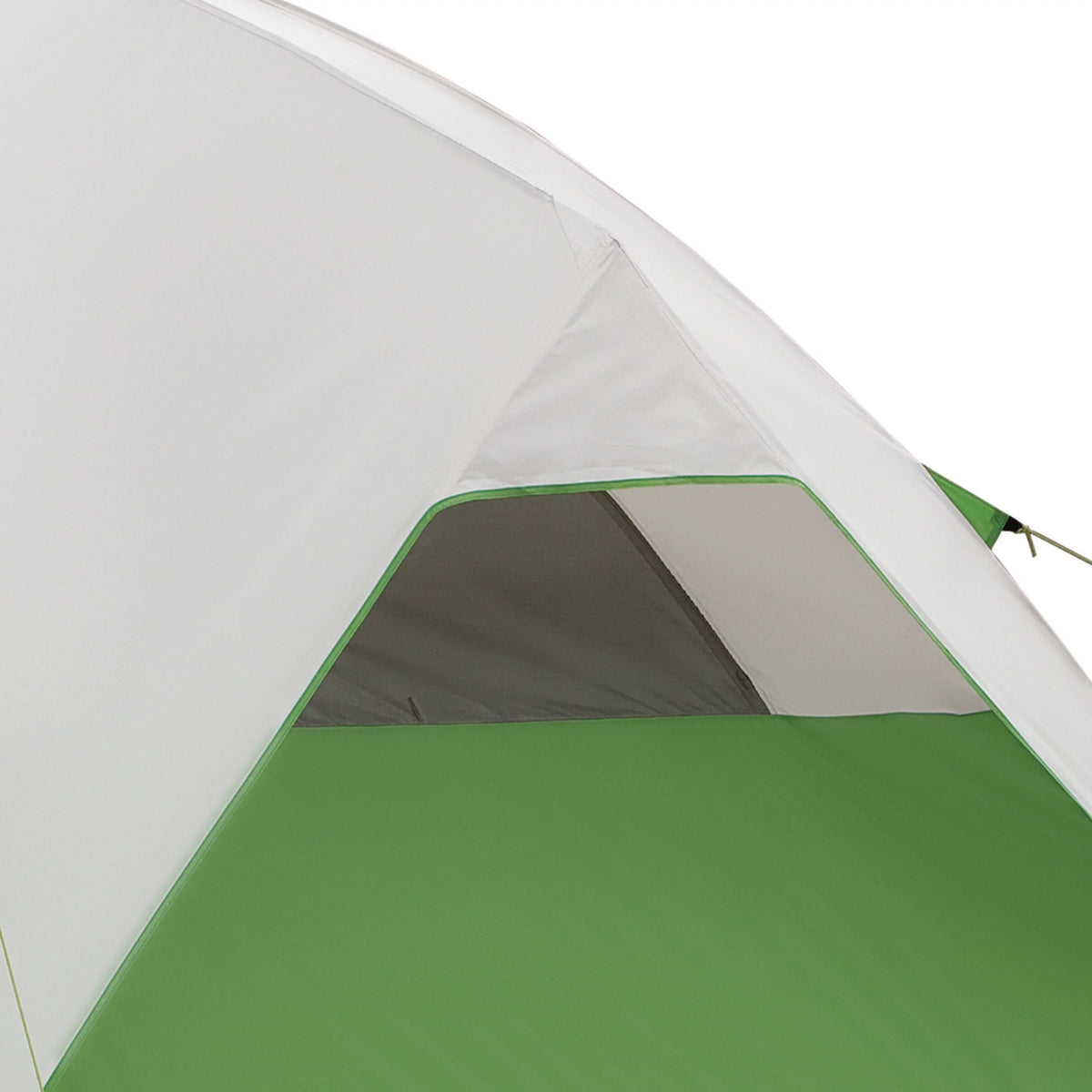 6-Person Dome Tent with Screen Room, Green C659