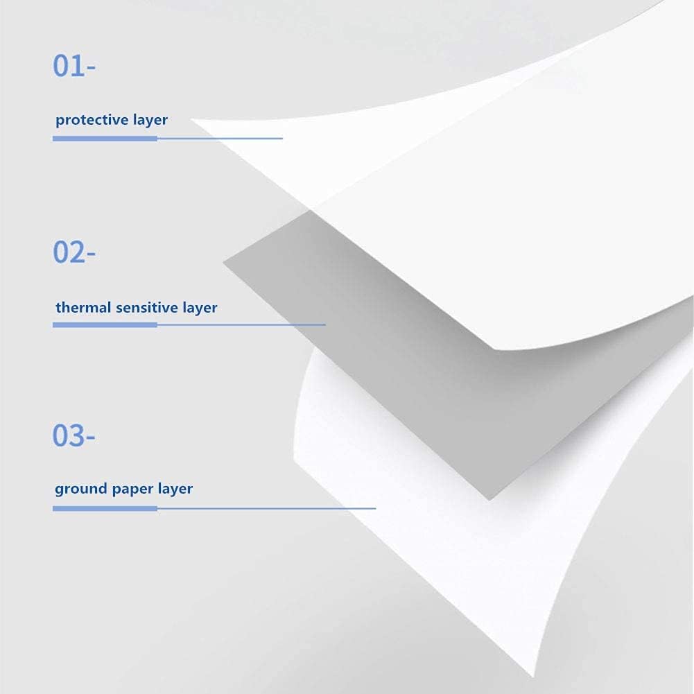 Thermal Receipt Paper 3 1/8 x 230ft 4 Rolls B60148