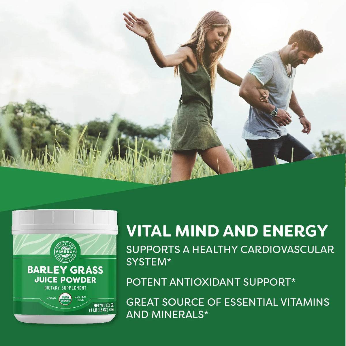 USDA Organic Barley Grass Juice Powder B92141