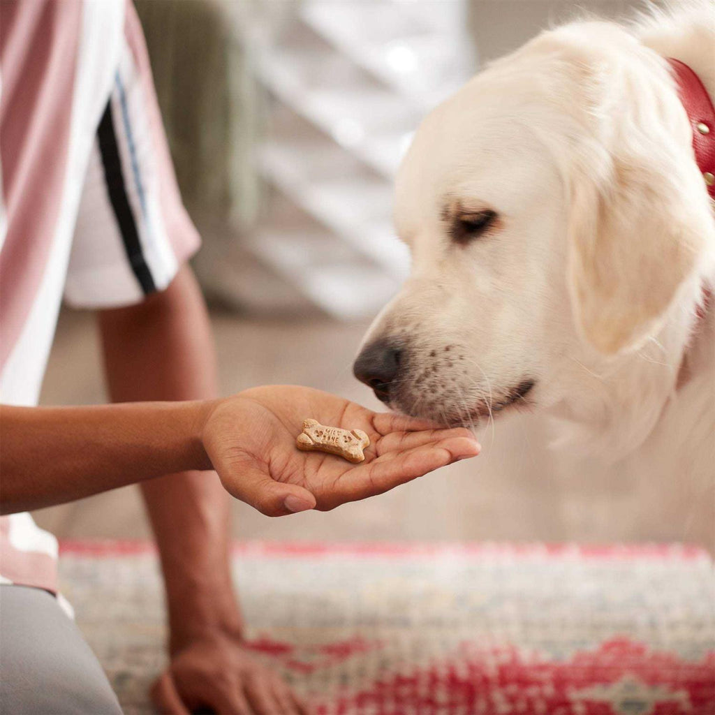 Dog Treats W673669
