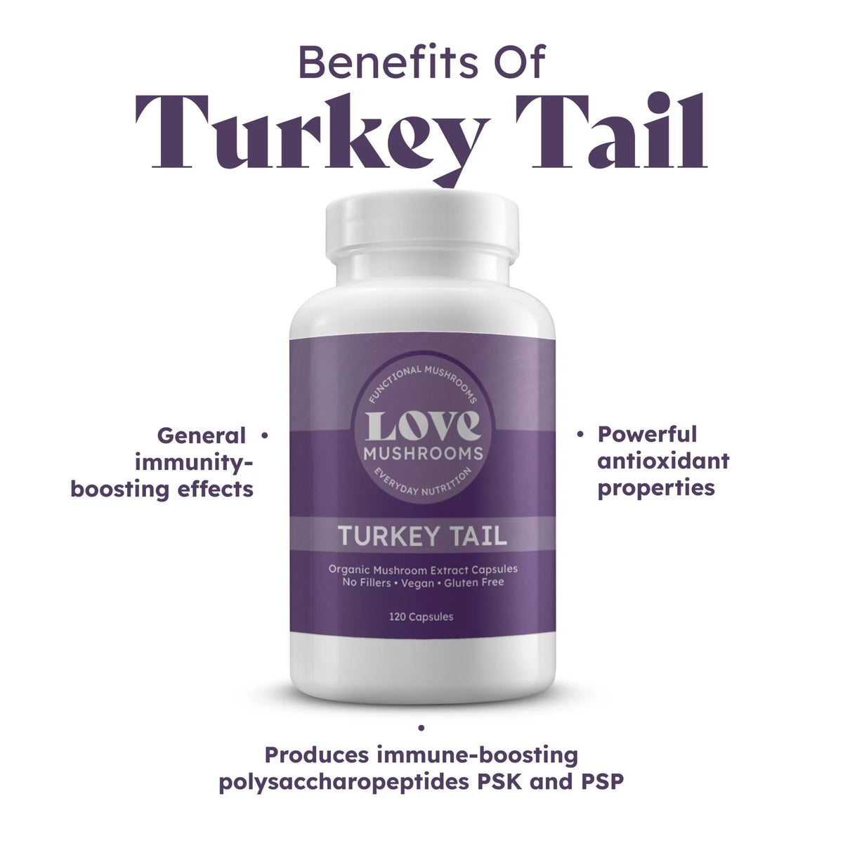 Turkey Tail Mushroom Extract Capsules Organic 120 Count A56865