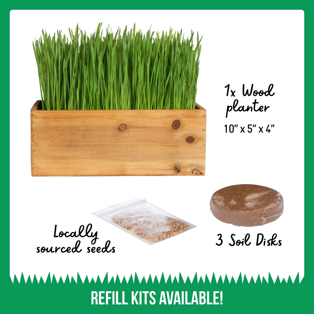 Organic Cat Grass Kit with Wood Planter, Seed and Soil F495