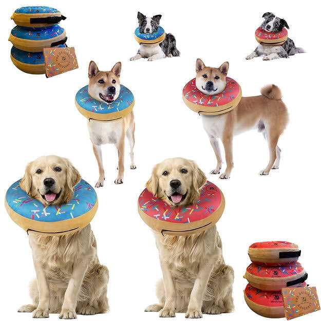Dog Donut Collar N392