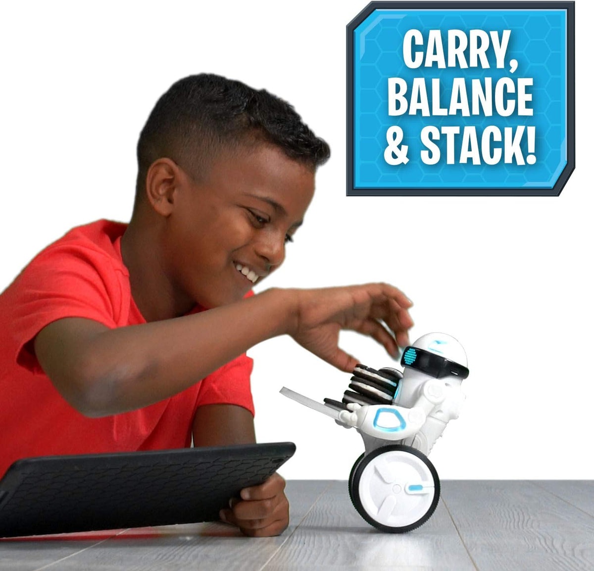 Interactive Self-Balancing Robot P10088