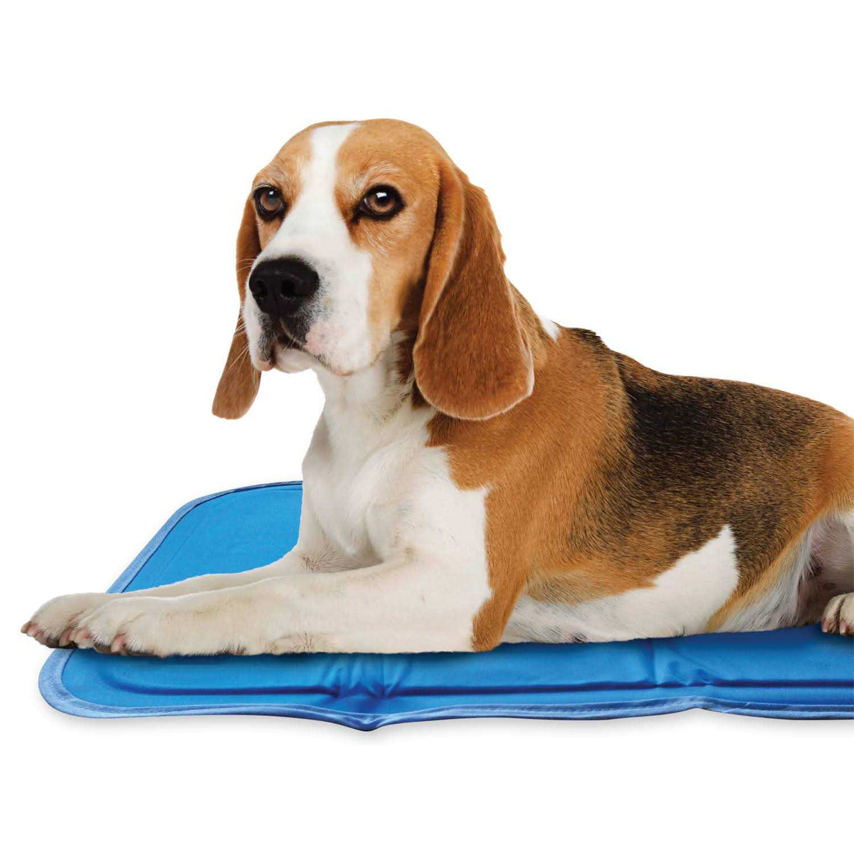 Sage Gray Self Cooling Pet Pad S5812