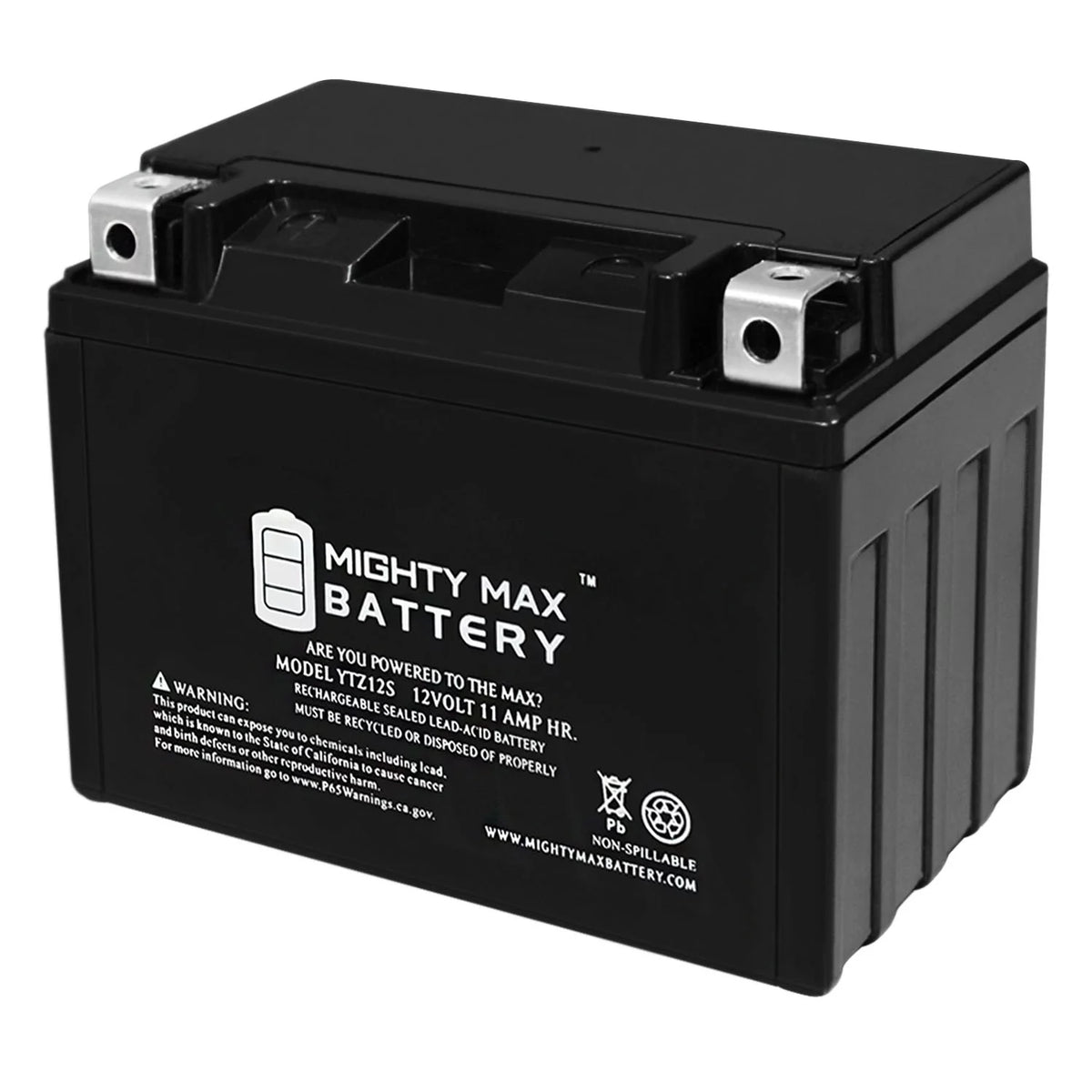 12V 11Ah Battery D13880