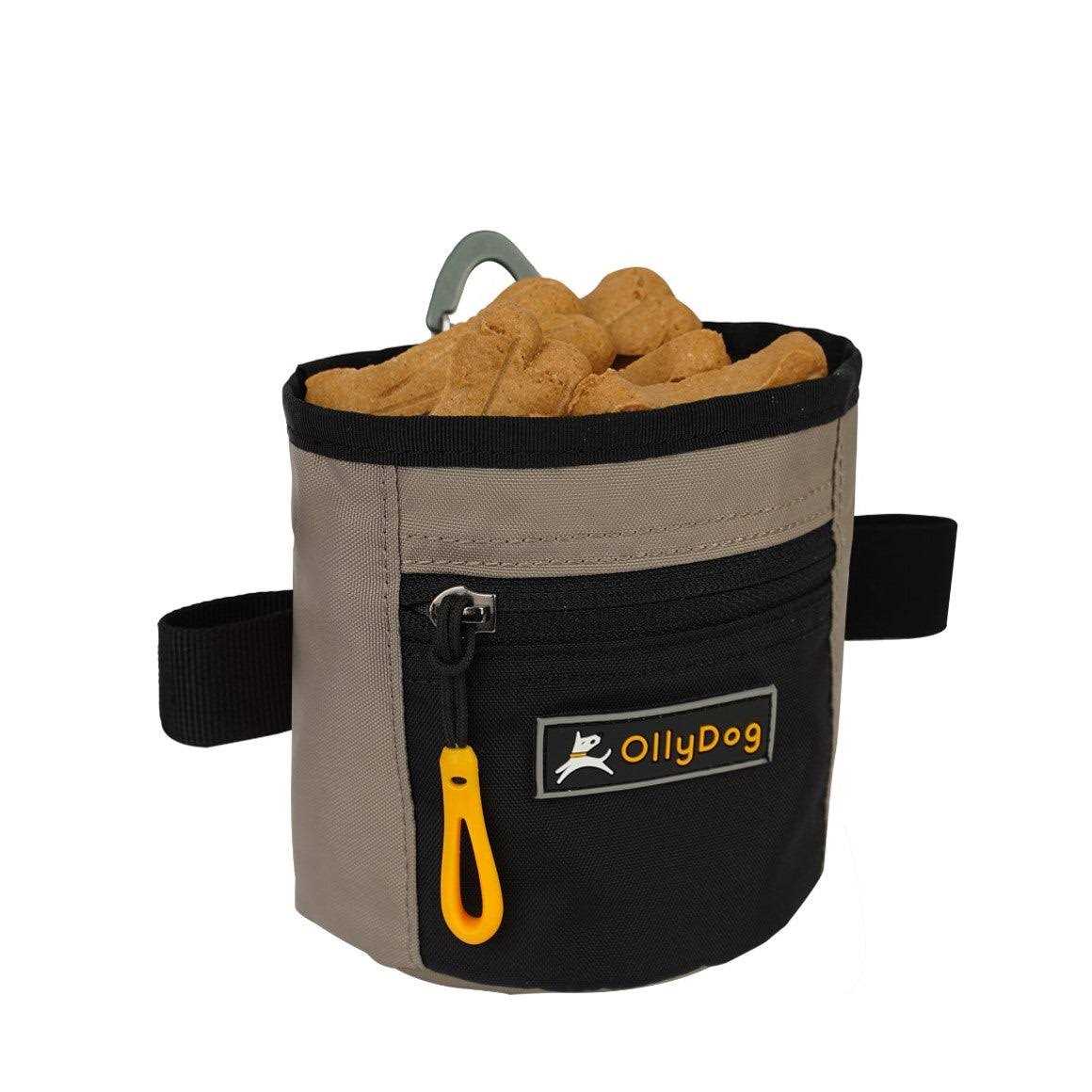 Treat Bag V362430