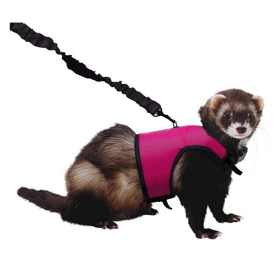 Comfort Harness Stretchy Leash G96751