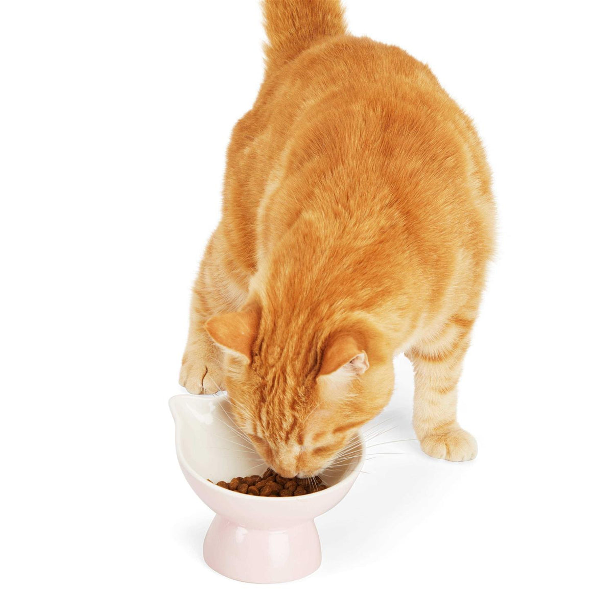 Elevated Cat Ear Bowl E909219
