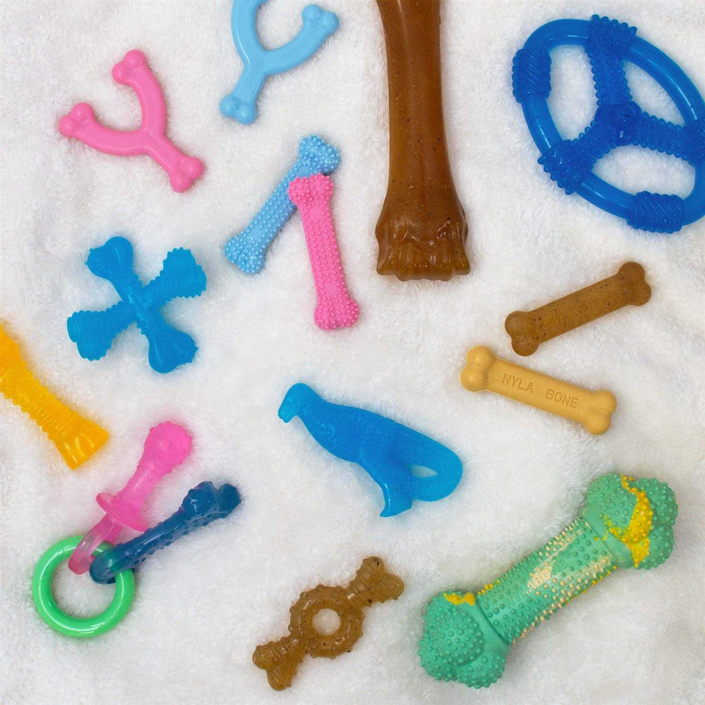 Puppy Chew Toy E7346