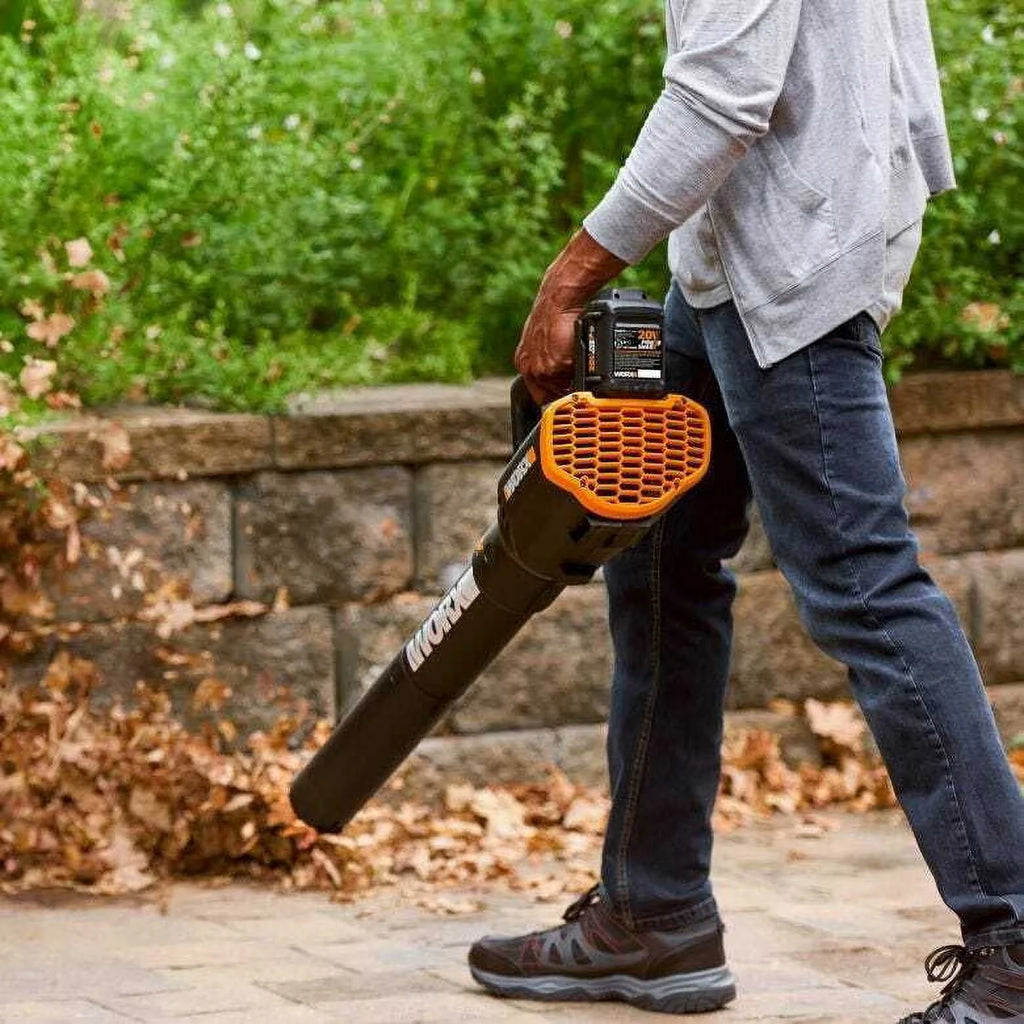 20 Volt Cordless 2 Speed Leaf Blower with 2 Batteries Y889