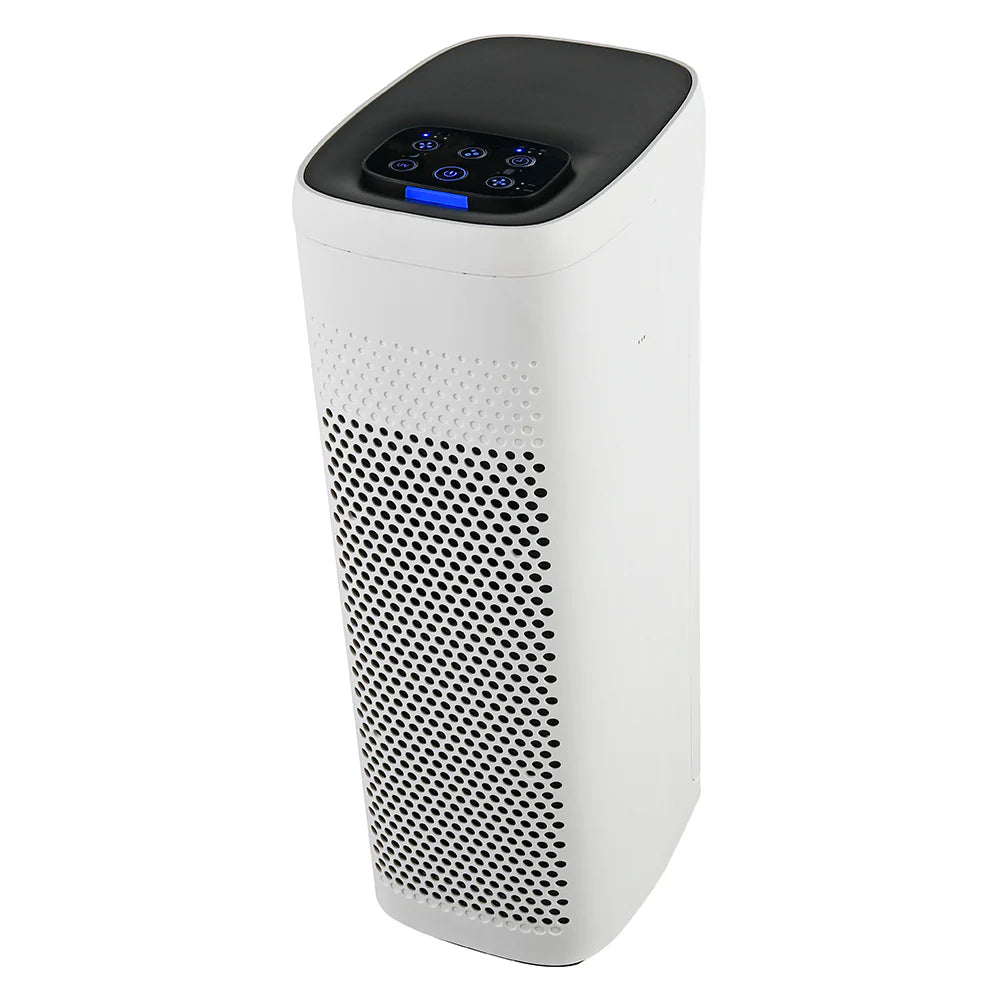 Air Purifier K403780