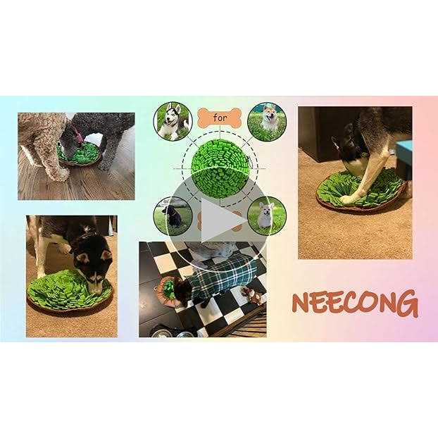 Pet Snuffle Mat B84526