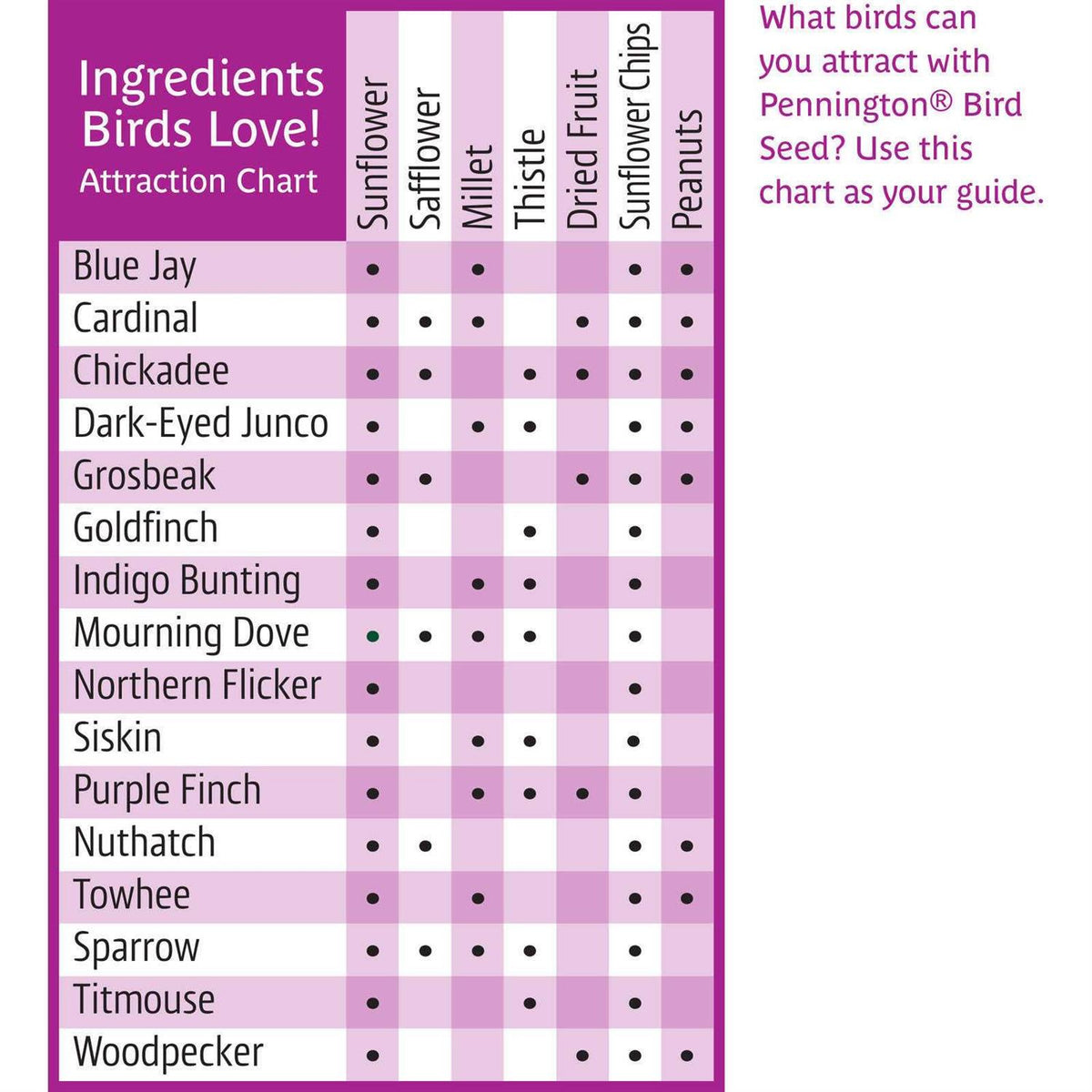 Fruit & Nut Blend Wild Bird Seed and Feed G869