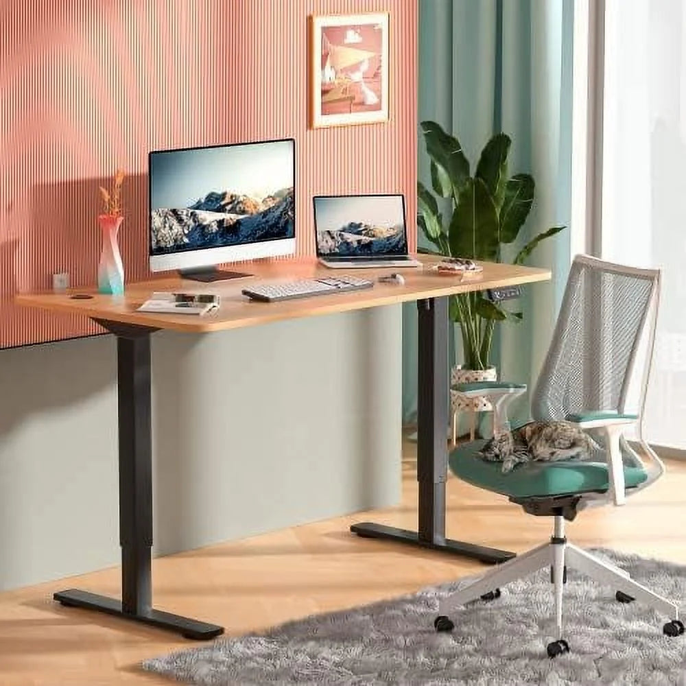 Electric Adjustable Standing Desk 63 x 24 with Memory Preset O587