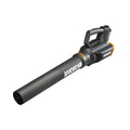 20 Volt Cordless 2 Speed Leaf Blower with 2 Batteries Y889