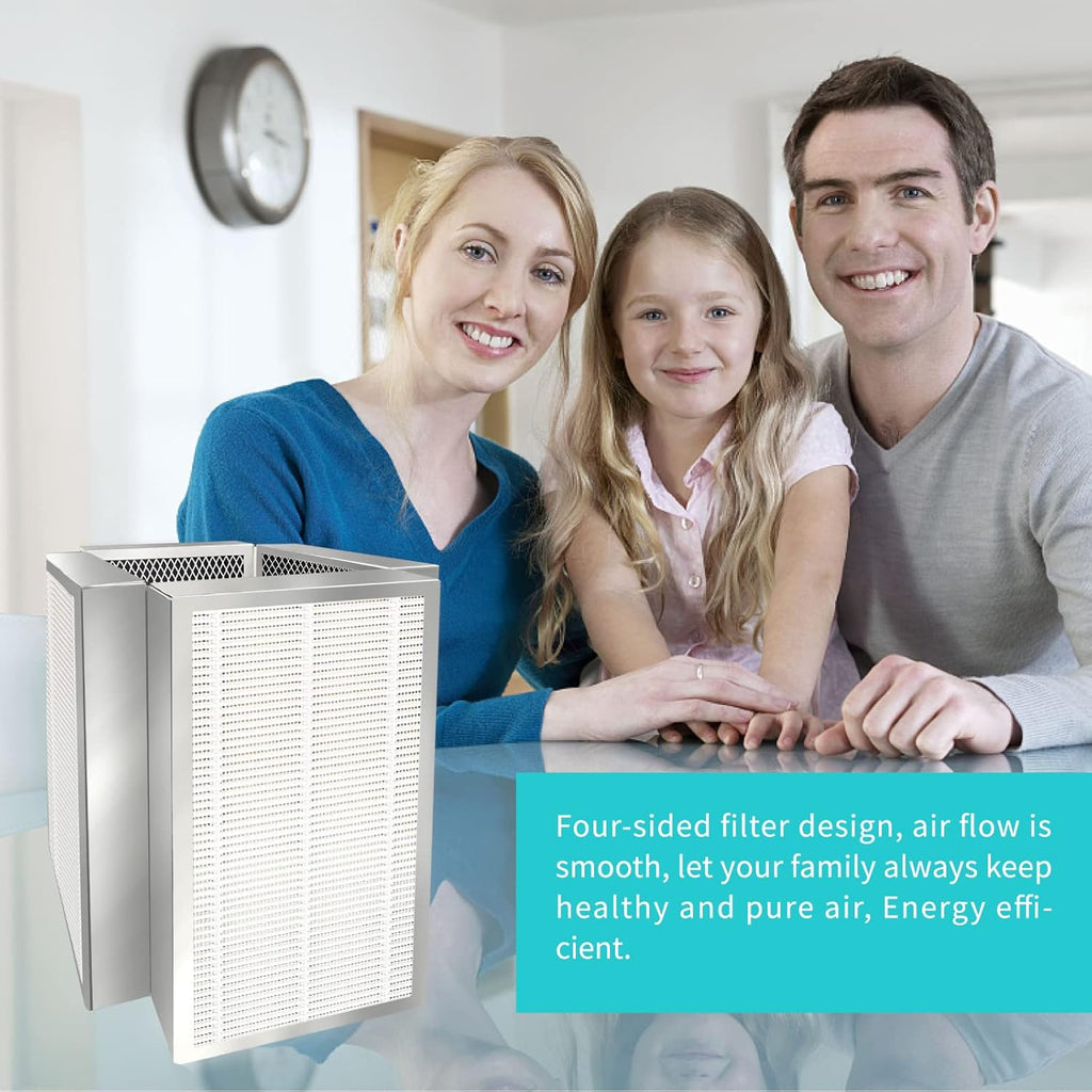 H13 HEPA Replacement Filter Pack of 2 P17970