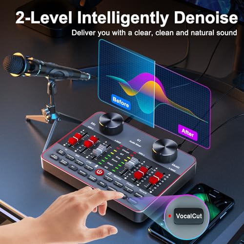 Audio Mixer Sound Card Condenser Microphone E105