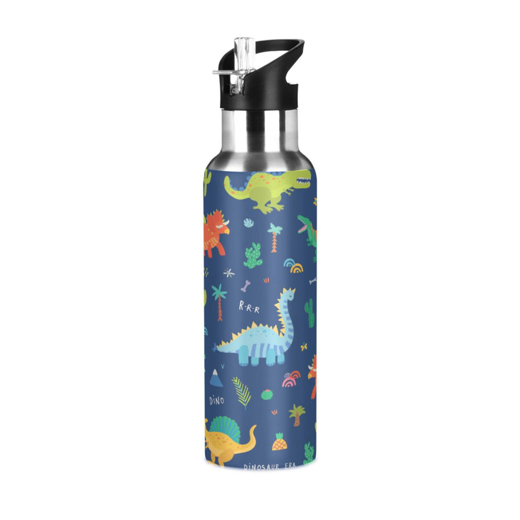Stainless Steel Insulated Water Bottle with Straw Lid K776