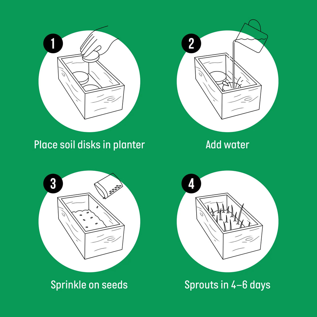 Organic Cat Grass Kit with Wood Planter, Seed and Soil F495
