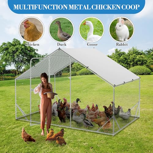 Large Metal Chicken Coop with Run T47154