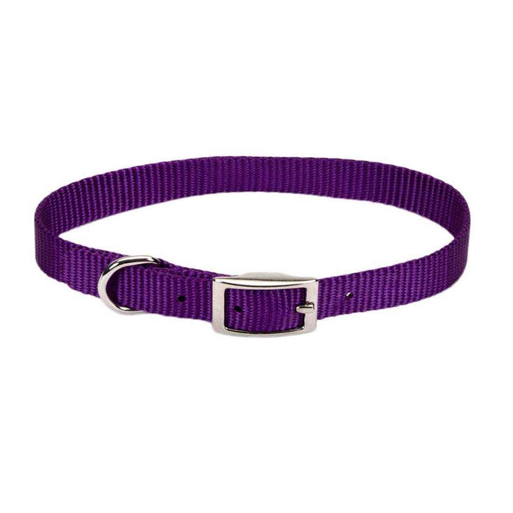 Nylon Pet Collar H337903