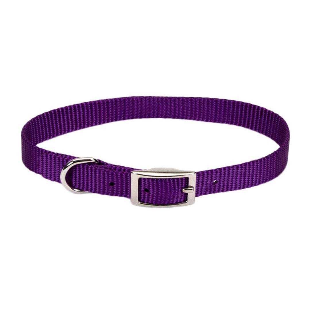 Nylon Pet Collar H337903