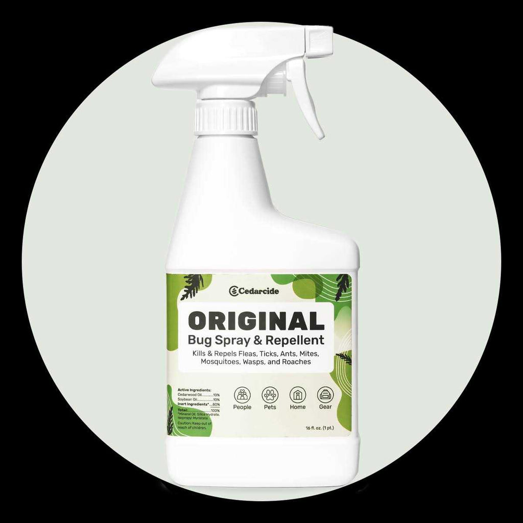 Bug Spray & Repellent X33337