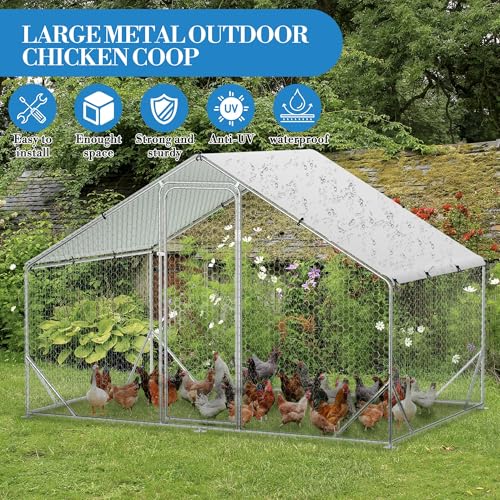 Large Metal Chicken Coop with Run T47154
