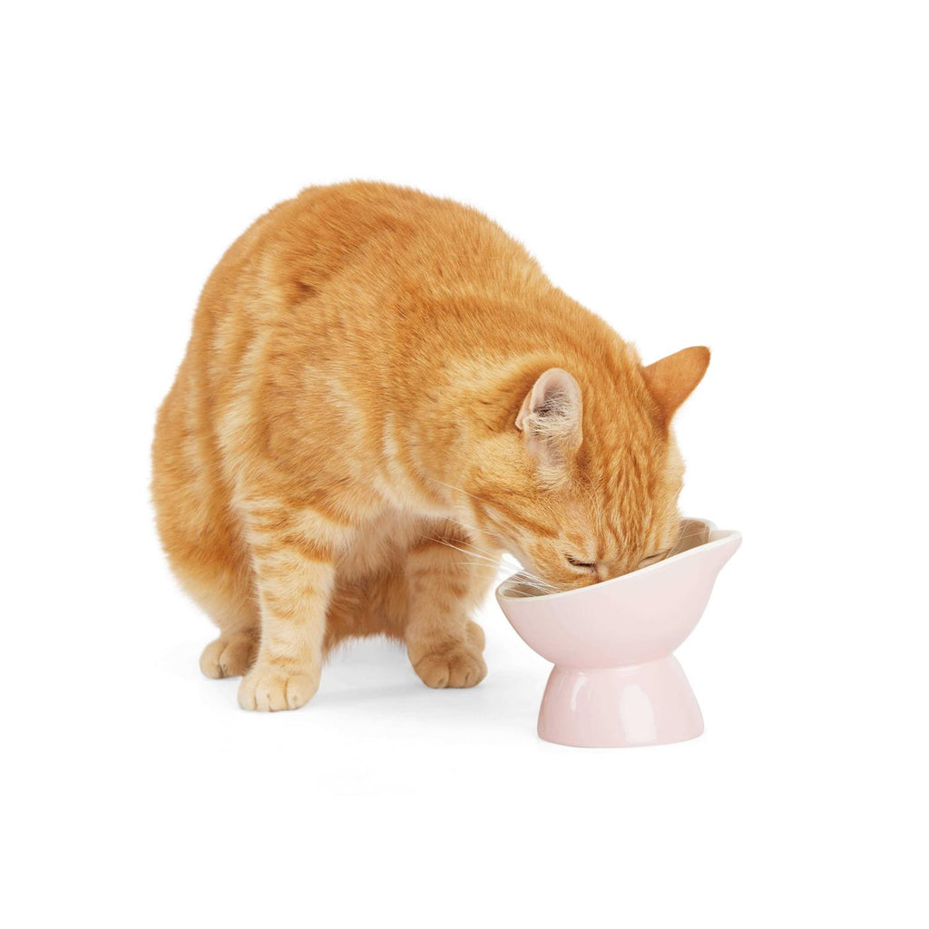 Elevated Cat Ear Bowl E909219