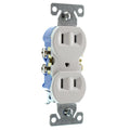 White 15-Amp 120-Volt Duplex Outlet 100-Pack T7699