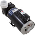 3 HP Dual Speed 230V Spa Pump F9369