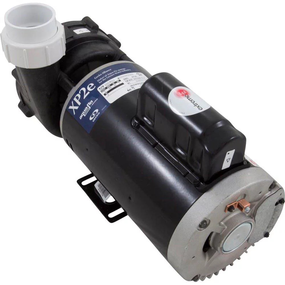 3 HP Dual Speed 230V Spa Pump F9369