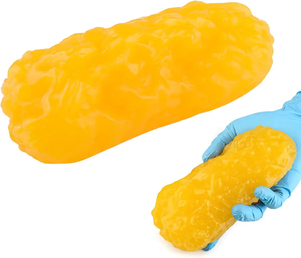 1 lb Human Fat Anatomical Model I91805