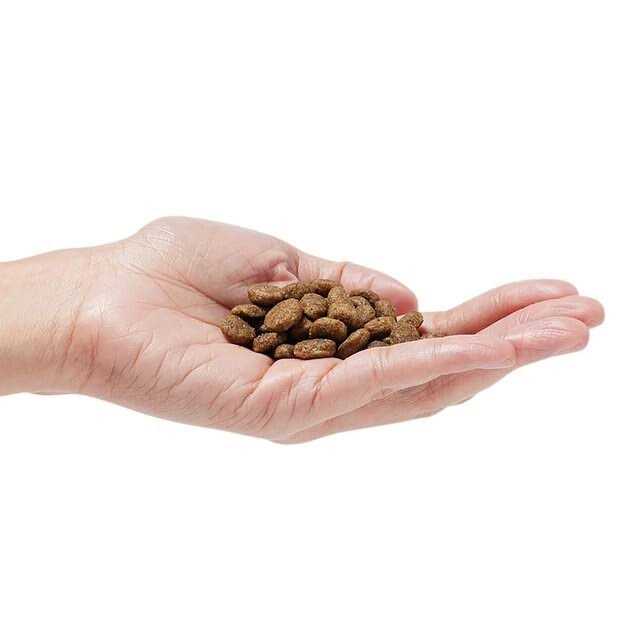 Grain-Free Dog Food K322762