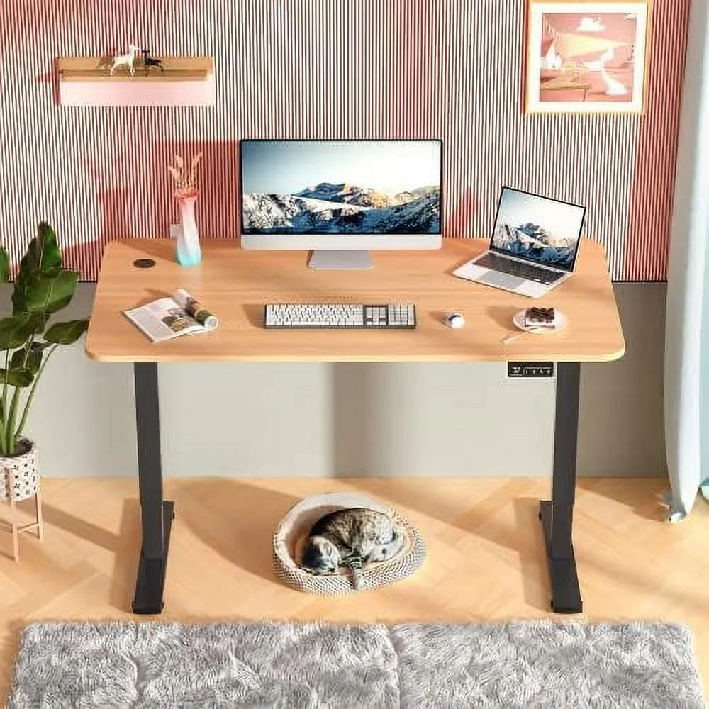 Electric Adjustable Standing Desk 63 x 24 with Memory Preset O587