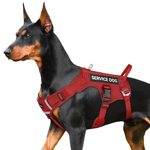 Tactical Dog Harness with Handle Mesh Breathable No Pull V24051