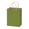 Rain Forest Green Paper Shopping Bags Case of 100 X230