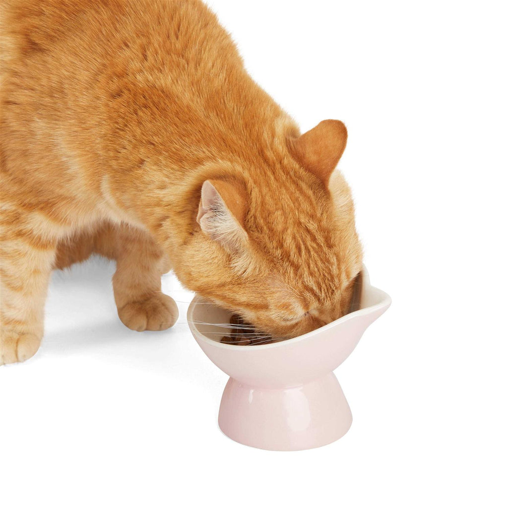 Elevated Cat Ear Bowl E909219
