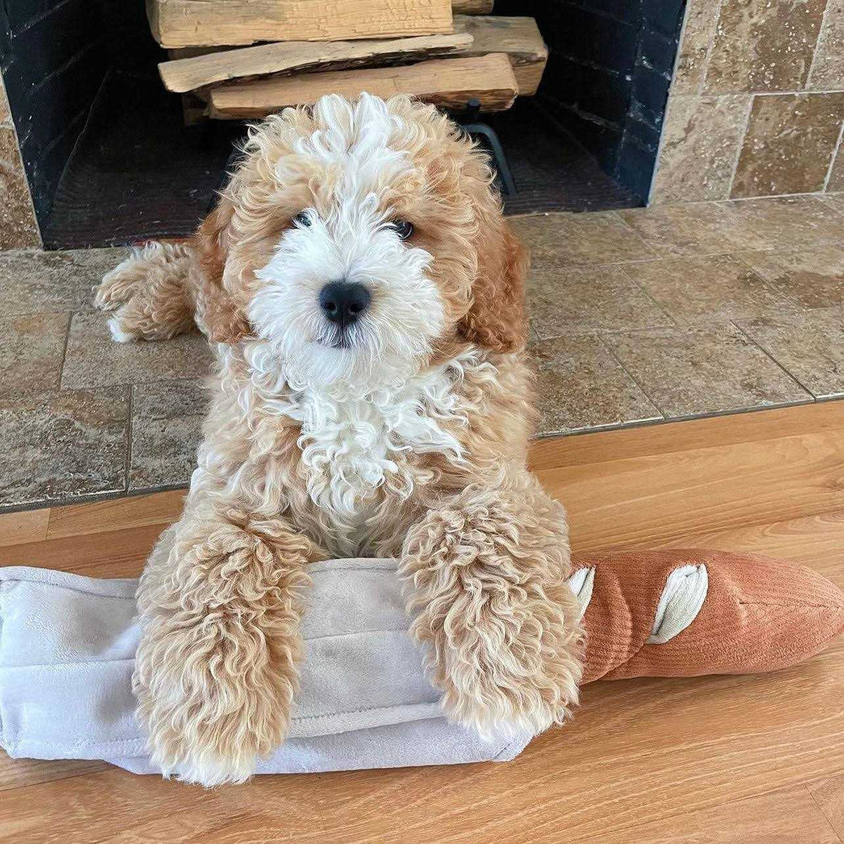 Baguette Enrichment Dog Toy M5920
