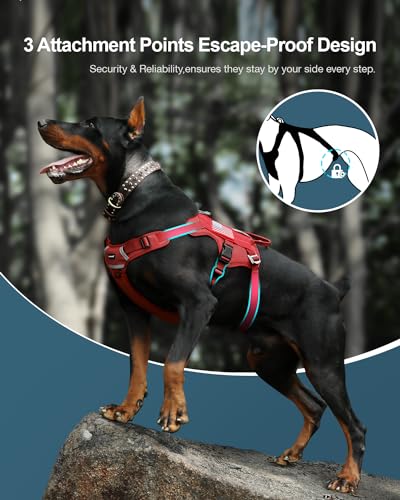 Tactical Dog Harness with Handle Mesh Breathable No Pull V24051