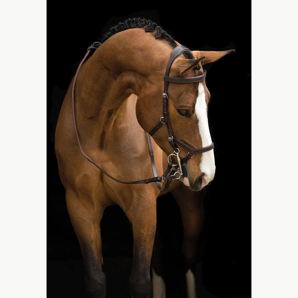 Competition Bridle P993