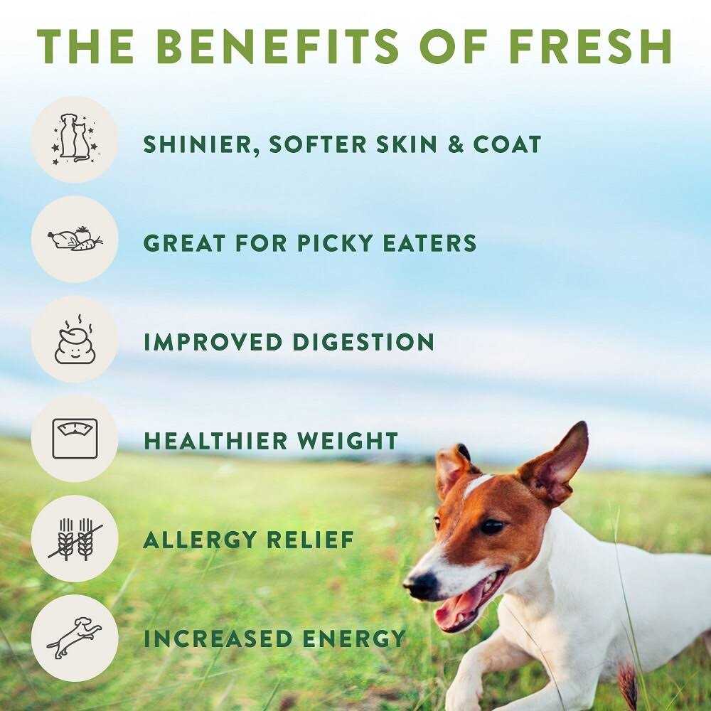 Grain Free Chicken Recipe Slice & Serve Roll Dog Food H832080