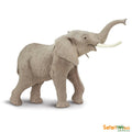 African Elephant D7810