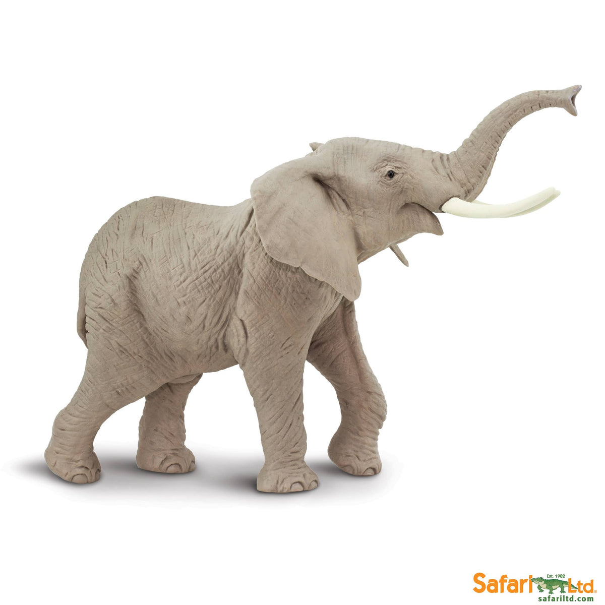 African Elephant D7810
