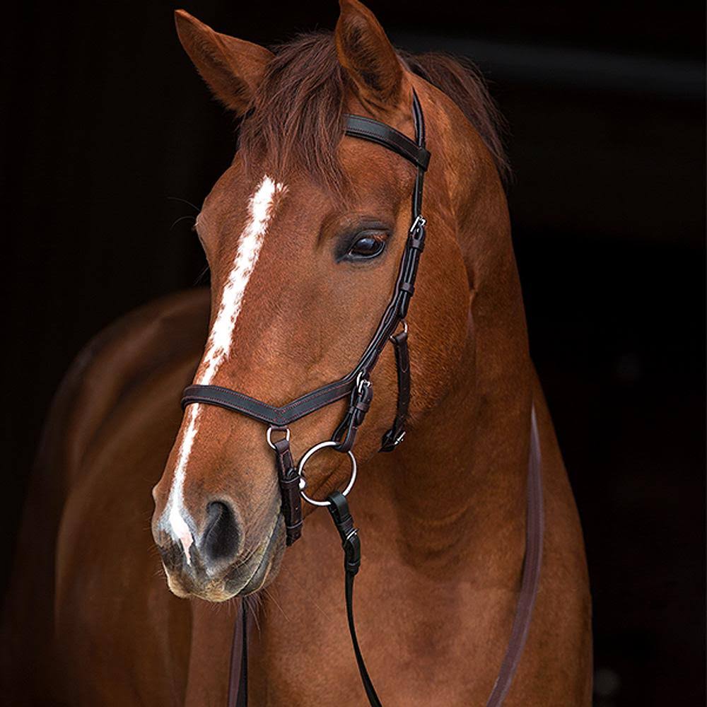 Competition Bridle P993