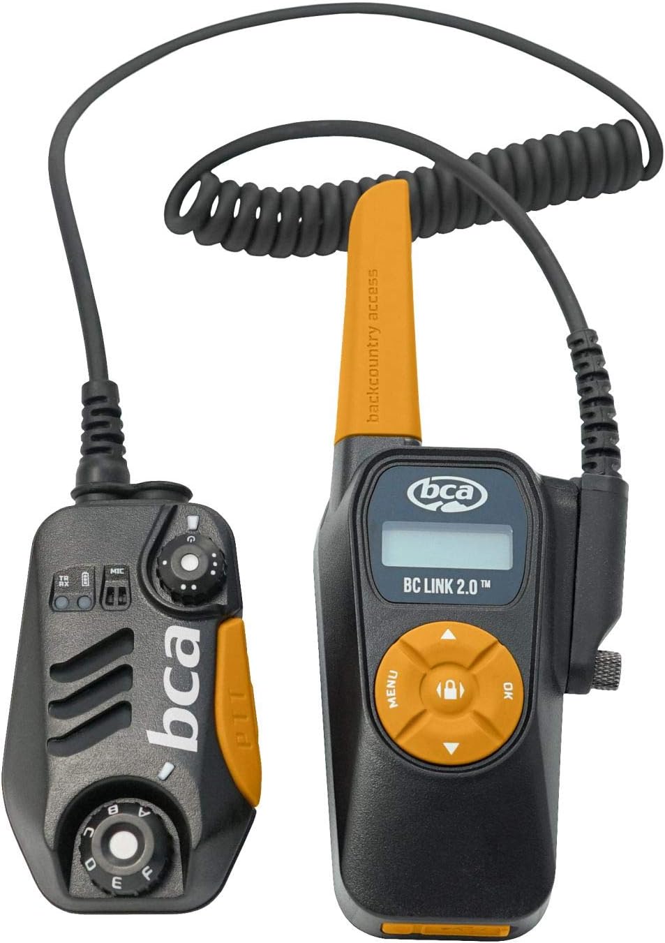 Black/Gold Radio V798