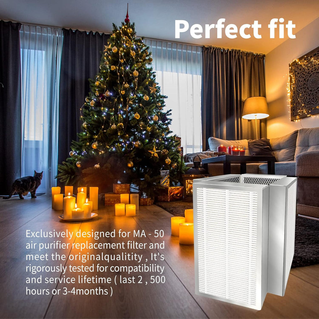 H13 HEPA Replacement Filter Pack of 2 P17970